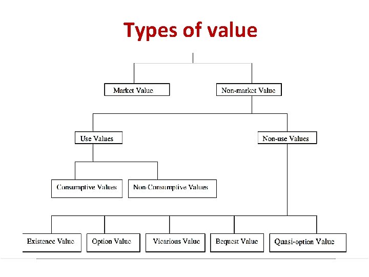 Types of value 