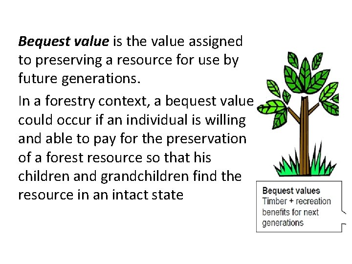 Bequest value is the value assigned to preserving a resource for use by future