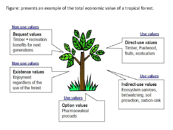 Figure: presents an example of the total economic value of a tropical forest. Non-use