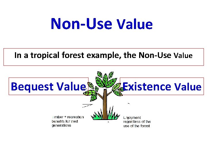 Non-Use Value In a tropical forest example, the Non-Use Value Bequest Value Existence Value