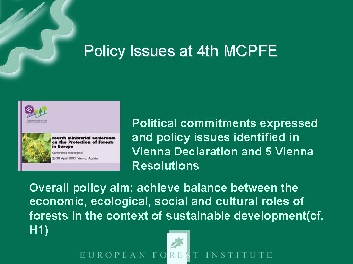 Policy Issues at 4 th MCPFE Political commitments expressed and policy issues identified in