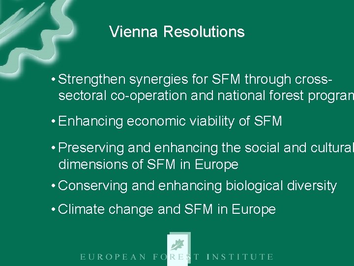 Vienna Resolutions • Strengthen synergies for SFM through crosssectoral co-operation and national forest program