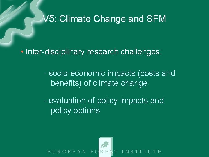 V 5: Climate Change and SFM • Inter-disciplinary research challenges: - socio-economic impacts (costs