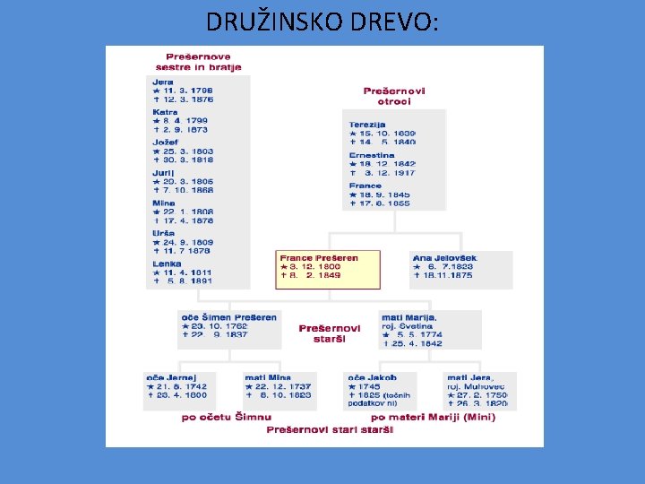 DRUŽINSKO DREVO: 