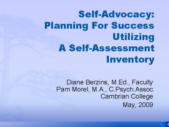 Self-Advocacy: Planning For Success Utilizing A Self-Assessment Inventory Diane Berzins, M. Ed. , Faculty