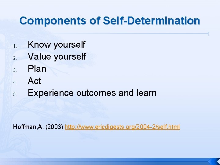 Components of Self-Determination 1. 2. 3. 4. 5. Know yourself Value yourself Plan Act