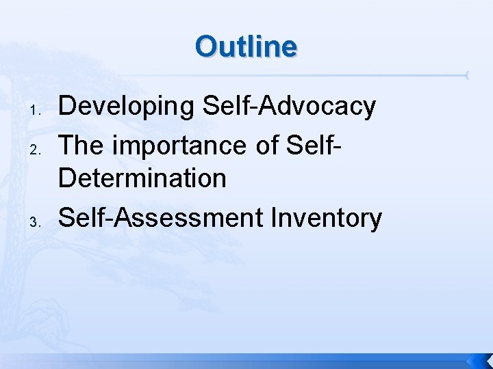 Outline 1. 2. 3. Developing Self-Advocacy The importance of Self. Determination Self-Assessment Inventory 