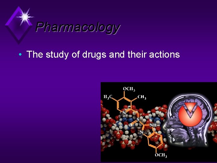 Pharmacology • The study of drugs and their actions 