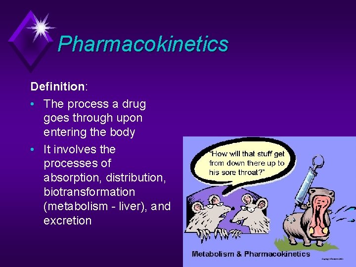 Pharmacokinetics Definition: • The process a drug goes through upon entering the body •