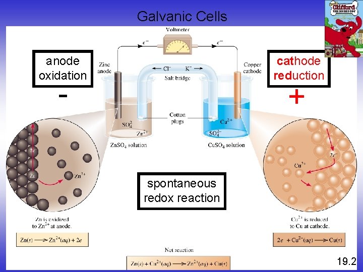 Galvanic Cells anode oxidation cathode reduction - + spontaneous redox reaction 19. 2 