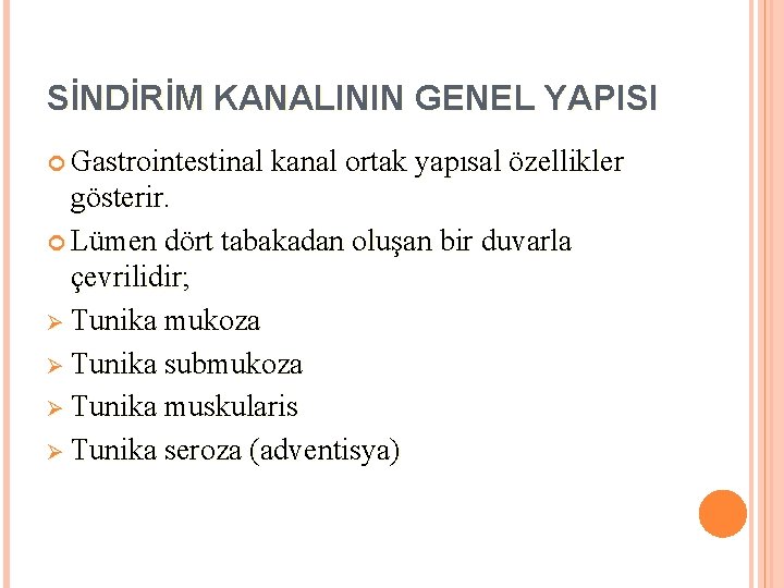 SİNDİRİM KANALININ GENEL YAPISI Gastrointestinal kanal ortak yapısal özellikler gösterir. Lümen dört tabakadan oluşan