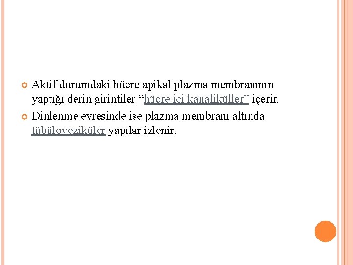 Aktif durumdaki hücre apikal plazma membranının yaptığı derin girintiler “hücre içi kanaliküller” içerir. Dinlenme