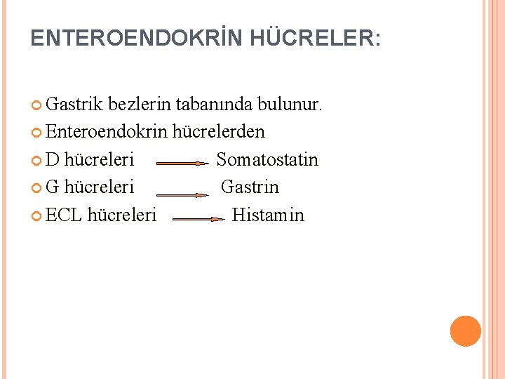 ENTEROENDOKRİN HÜCRELER: Gastrik bezlerin tabanında bulunur. Enteroendokrin hücrelerden D hücreleri Somatostatin G hücreleri Gastrin