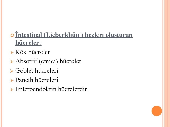  İntestinal (Lieberkhün ) bezleri oluşturan hücreler: Ø Kök hücreler Ø Absortif (emici) hücreler