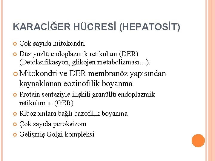 KARACİĞER HÜCRESİ (HEPATOSİT) Çok sayıda mitokondri Düz yüzlü endoplazmik retikulum (DER) (Detoksifikasyon, glikojen metabolizması…).