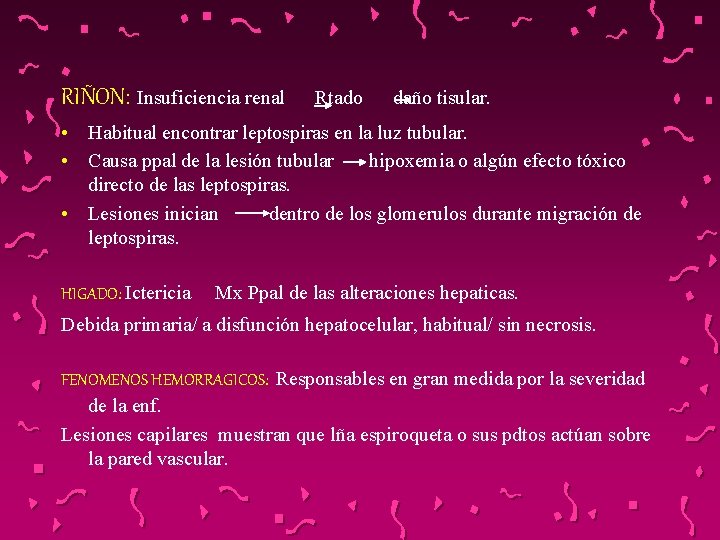 RIÑON: Insuficiencia renal Rtado daño tisular. • Habitual encontrar leptospiras en la luz tubular.