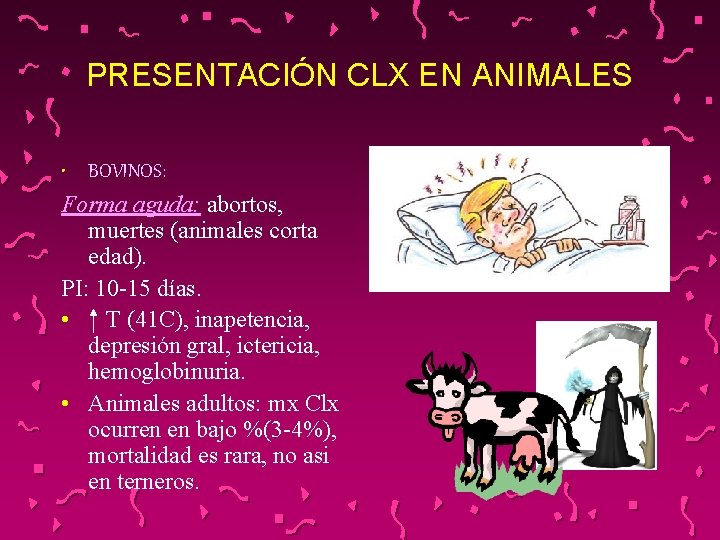 PRESENTACIÓN CLX EN ANIMALES • BOVINOS: Forma aguda: abortos, muertes (animales corta edad). PI: