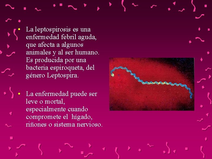  • La leptospirosis es una enfermedad febril aguda, que afecta a algunos animales