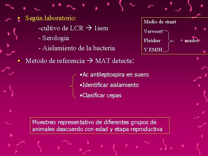  • Según laboratorio: -cultivo de LCR 1 sem - Serologia - Aislamiento de