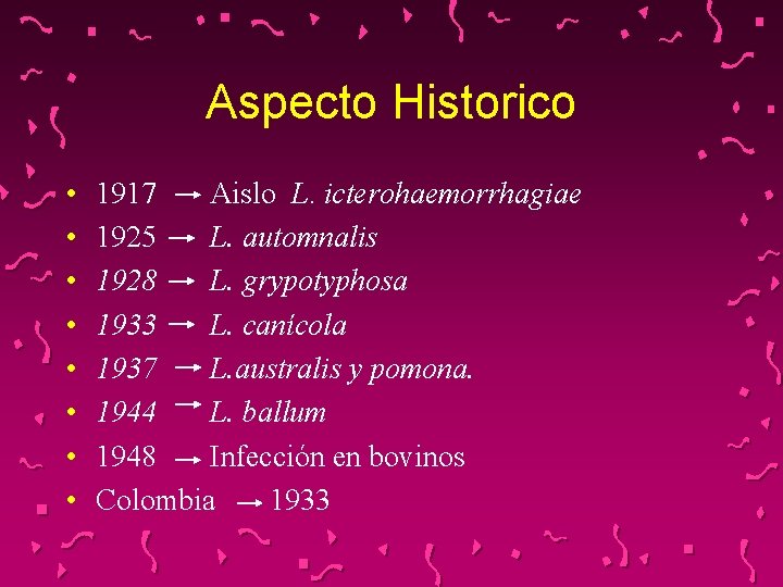 Aspecto Historico • • 1917 Aislo L. icterohaemorrhagiae 1925 L. automnalis 1928 L. grypotyphosa