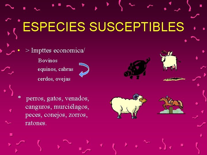 ESPECIES SUSCEPTIBLES • > Impttes economica/ Bovinos equinos, cabras cerdos, ovejas * perros, gatos,