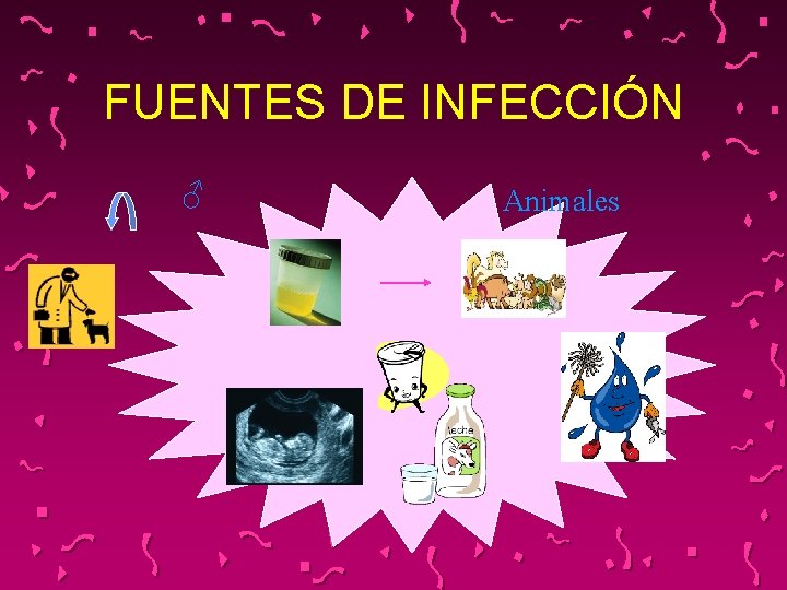 FUENTES DE INFECCIÓN ♂ Animales 