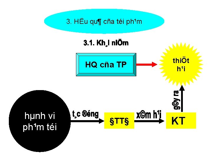 3. HËu qu¶ cña téi ph¹m HQ cña TP hµnh vi ph¹m téi §TT§