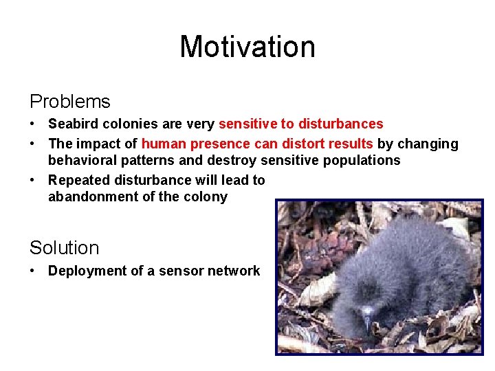 Motivation Problems • Seabird colonies are very sensitive to disturbances • The impact of Motivation Problems • Seabird colonies are very sensitive to disturbances • The impact of