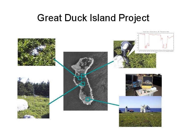 Great Duck Island Project Great Duck Island Project