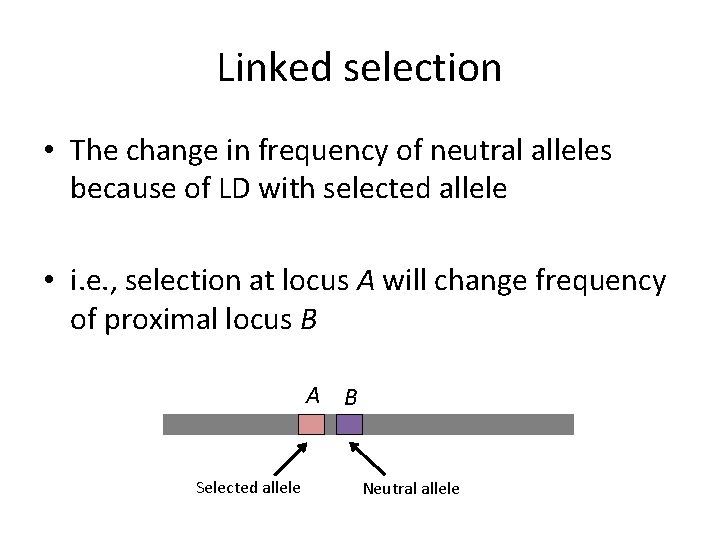 Linked selection • The change in frequency of neutral alleles because of LD with Linked selection • The change in frequency of neutral alleles because of LD with