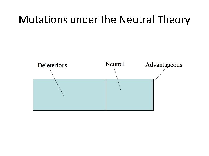 Mutations under the Neutral Theory Mutations under the Neutral Theory