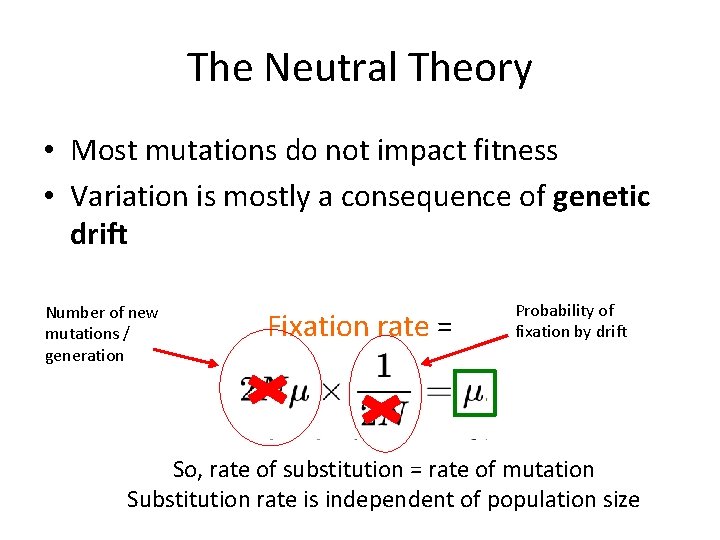 The Neutral Theory • Most mutations do not impact fitness • Variation is mostly The Neutral Theory • Most mutations do not impact fitness • Variation is mostly