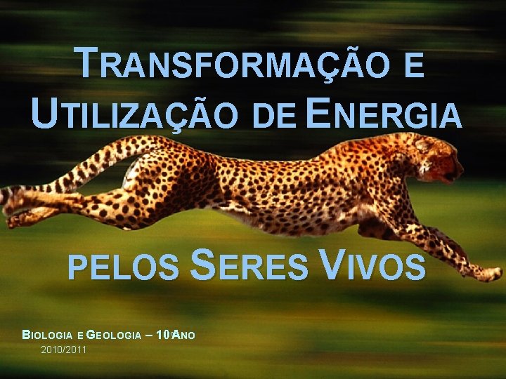 TRANSFORMAÇÃO E UTILIZAÇÃO DE ENERGIA PELOS SERES VIVOS BIOLOGIA E GEOLOGIA – 10ºANO 2010/2011