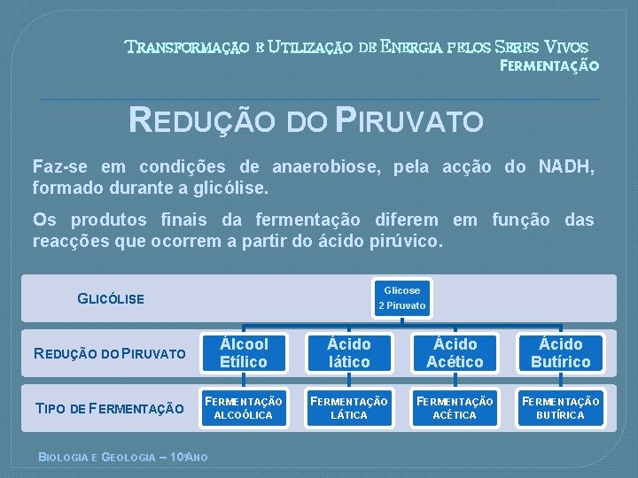 TRANSFORMAÇÃO E UTILIZAÇÃO DE ENERGIA PELOS SERES VIVOS FERMENTAÇÃO REDUÇÃO DO PIRUVATO Faz-se em