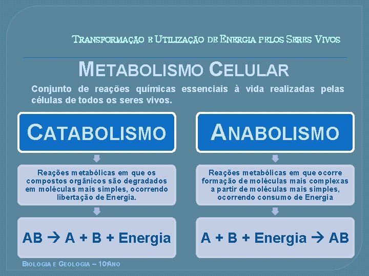 TRANSFORMAÇÃO E UTILIZAÇÃO DE ENERGIA PELOS SERES VIVOS METABOLISMO CELULAR Conjunto de reações químicas