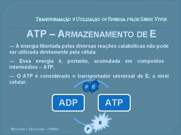 TRANSFORMAÇÃO E UTILIZAÇÃO DE ENERGIA PELOS SERES VIVOS ATP – ARMAZENAMENTO DE E —