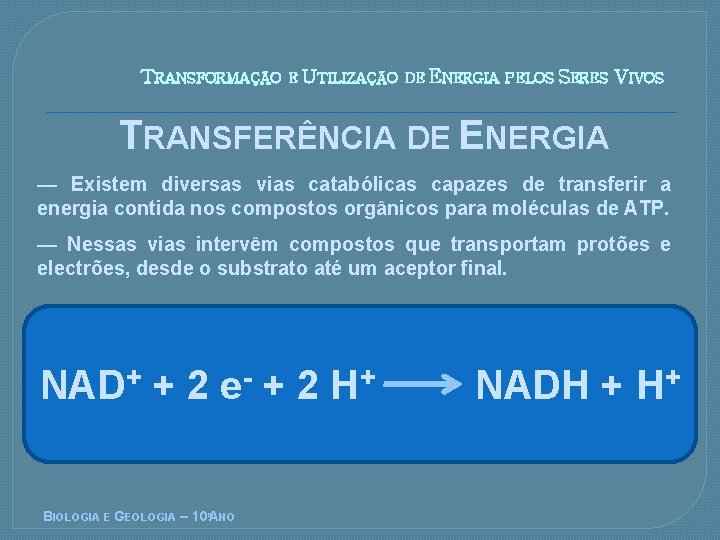 TRANSFORMAÇÃO E UTILIZAÇÃO DE ENERGIA PELOS SERES VIVOS TRANSFERÊNCIA DE ENERGIA — Existem diversas