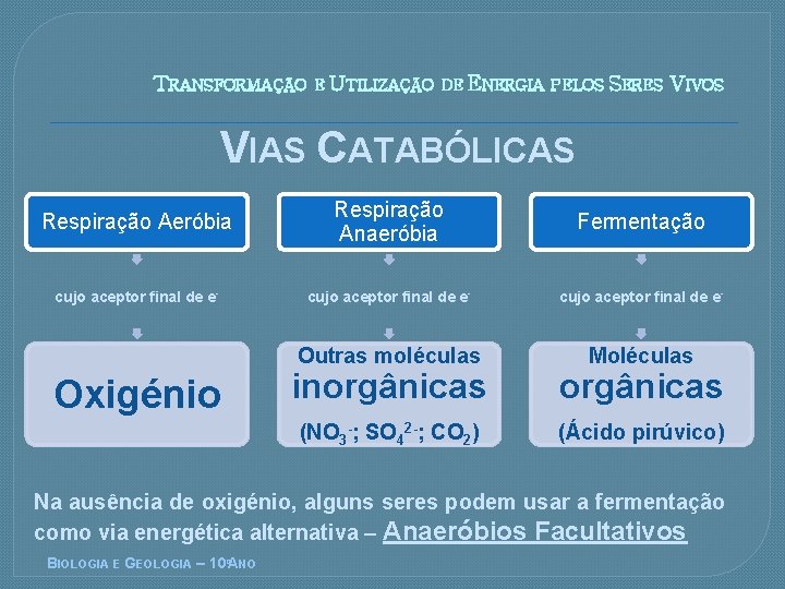 TRANSFORMAÇÃO E UTILIZAÇÃO DE ENERGIA PELOS SERES VIVOS VIAS CATABÓLICAS Respiração Aeróbia Respiração Anaeróbia