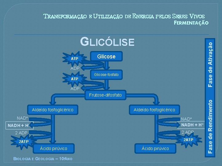TRANSFORMAÇÃO E UTILIZAÇÃO DE ENERGIA PELOS SERES VIVOS FERMENTAÇÃO ATP Fase de Ativação GLICÓLISE