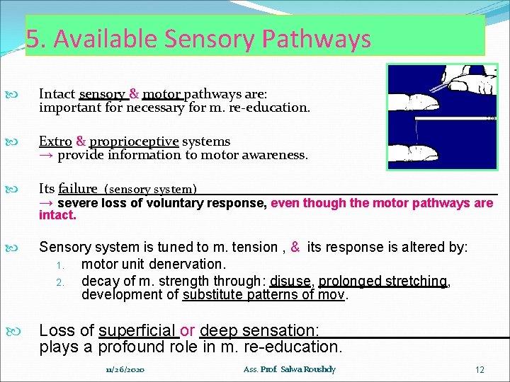5. Available Sensory Pathways Intact sensory & motor pathways are: important for necessary for