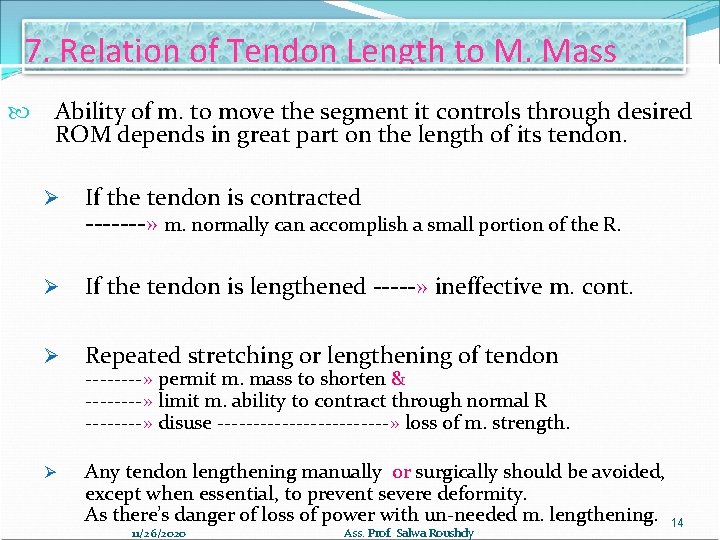 7. Relation of Tendon Length to M. Mass Ability of m. to move the
