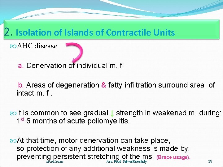 2. Isolation of Islands of Contractile Units AHC disease a. Denervation of individual m.