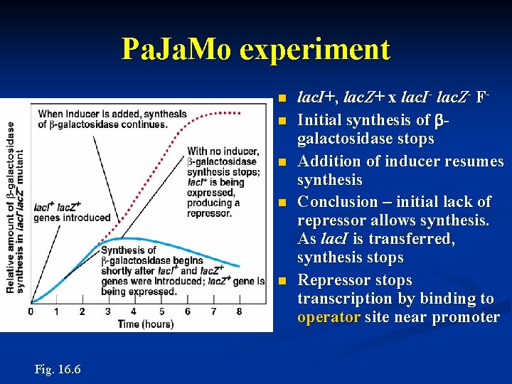 Pa. Ja. Mo experiment n n n Fig. 16. 6 lac. I+, lac. Z+