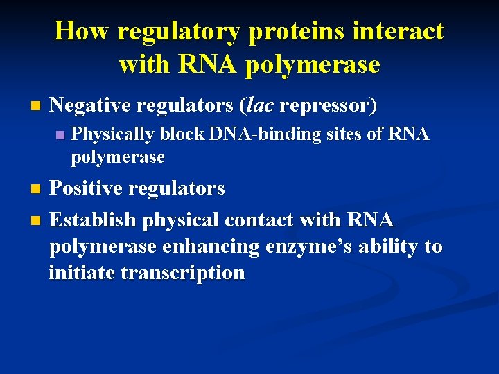 How regulatory proteins interact with RNA polymerase n Negative regulators (lac repressor) n Physically