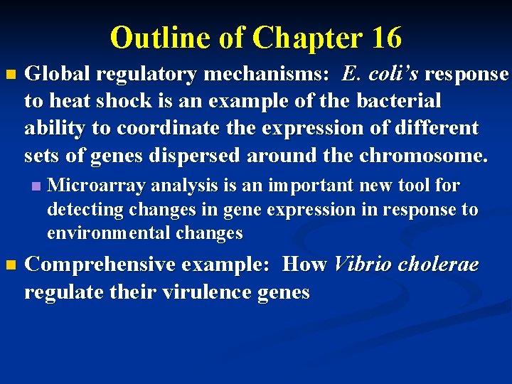 Outline of Chapter 16 n Global regulatory mechanisms: E. coli’s response to heat shock