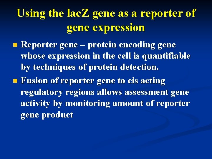 Using the lac. Z gene as a reporter of gene expression Reporter gene –