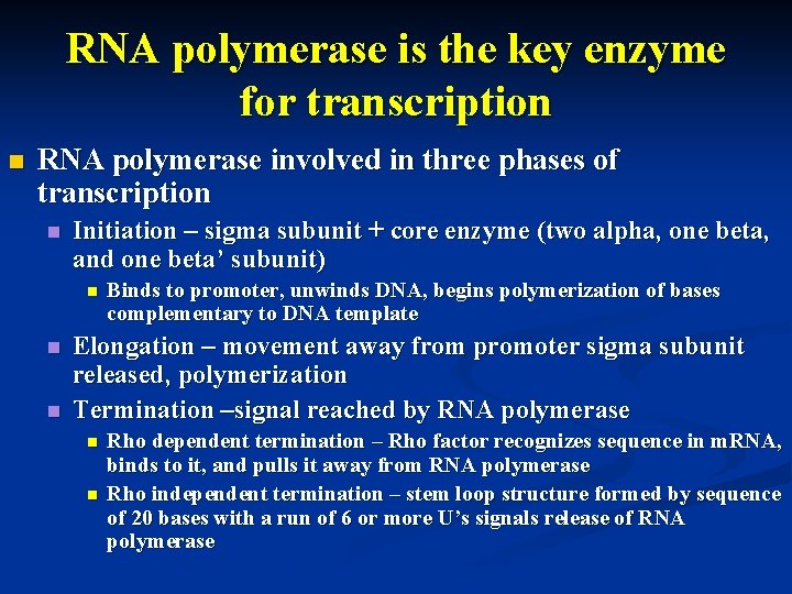 RNA polymerase is the key enzyme for transcription n RNA polymerase involved in three