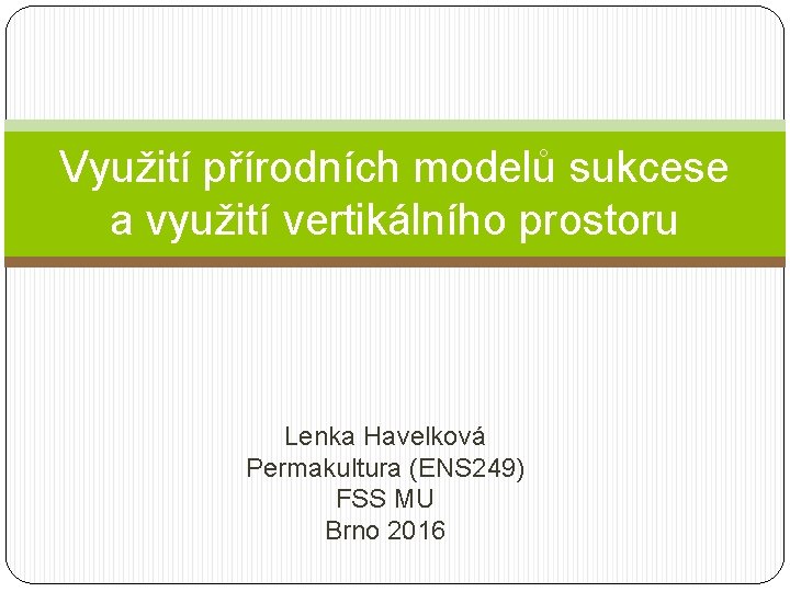 Využití přírodních modelů sukcese a využití vertikálního prostoru Lenka Havelková Permakultura (ENS 249) FSS