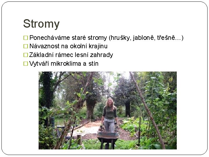 Stromy � Ponecháváme staré stromy (hrušky, jabloně, třešně…) � Návaznost na okolní krajinu �