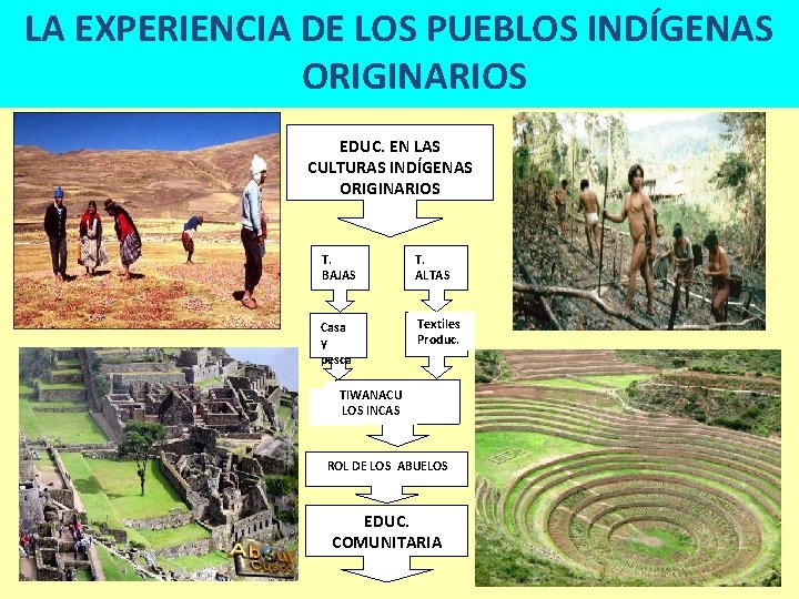 LA EXPERIENCIA DE LOS PUEBLOS INDÍGENAS ORIGINARIOS EDUC. EN LAS CULTURAS INDÍGENAS ORIGINARIOS T.